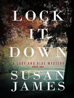 cover image of Lock It Down
